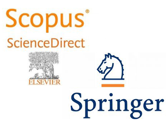 ACCESS TO ELSEVIER AND SPRINGER SCIENTIFIC INFORMATION RESOURCES