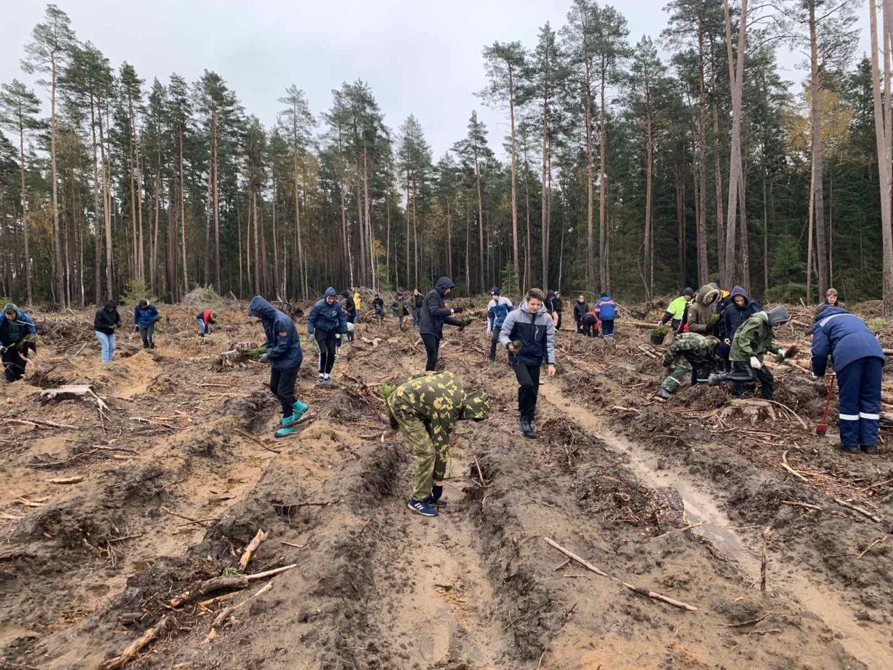 Земля – наш общий дом. Белорусско-Российский университет присоединился к  акции «Аднавім лясы разам!»