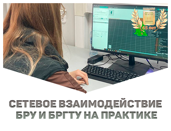 Сетевое взаимодействие БРУ и БрГТУ на практике