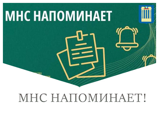 МНС напоминает